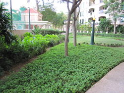 Pebble Bay (D15), Condominium #109133132
